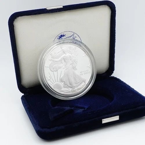 2002 W AMERICAN EAGLE SILVER PROOF $1 DOLLAR COIN WITH VELVET CASE (1 of 2)