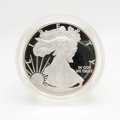 2008 W AMERICAN EAGLE UNCIRCULATED SILVER $1 DOLLAR COIN - CAPSULATED (1 of 2)