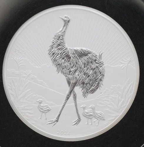 2024 10 OZ SILVER .9999 PERTH PIEDFORT - NEXT GENERATION MOTHER & BABY EMU: 2024 10 OZ SILVER .9999 PERTH PIEDFORT - NEXT GENERATION MOTHER & BABY EMU Description 2024 10 oz Silver .9999 Perth Piedfort - Next Generation Mother & Baby Emu Coin is in uncirculated condition. May