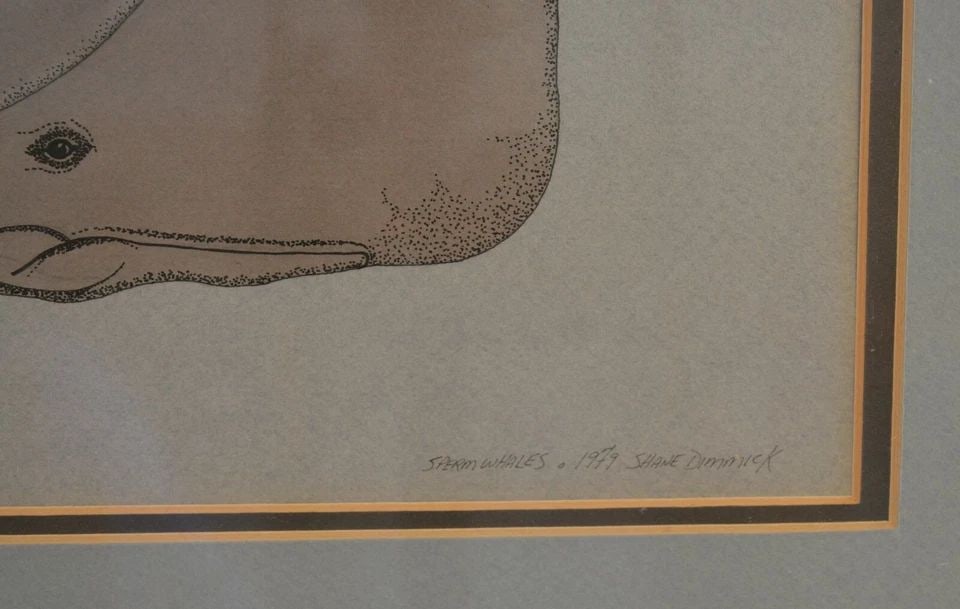 FRAMED ORIGINAL MIXED MEDIA INK WASH DRAWING - SPERM WHALES - SHANE DIMMICK 1979 (1 of 2)