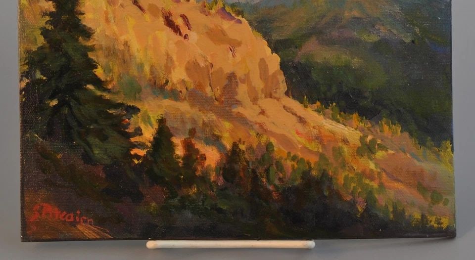 SUSAN HUBBLE PITCAIRN - GICLEE PRINT - "MOUNTAIN GLORY" PINE FOREST ARIZONA (1 of 2)