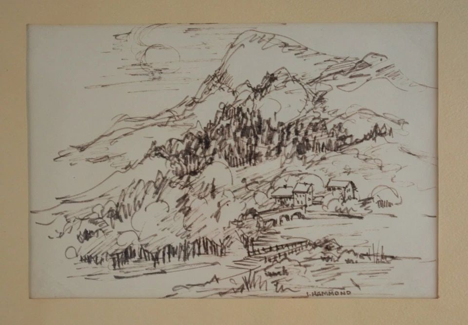 VINTAGE FRAMED PEN & INK DRAWING - BLACK FOREST VIENNA - I. HAMMOND - 1969: VINTAGE FRAMED PEN & INK DRAWING - BLACK FOREST VIENNA - I. HAMMOND - 1969 Item Description: This vintage pen and ink drawing is titled on the back, "Black Forest Vienna 1969". The drawing is signed a