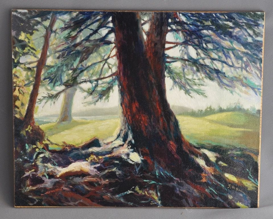 SUSAN HUBBLE PITCAIRN - GICLEE PRINT RADIANCE - TREE SUN LANDSCAPE - SEDONA AZ (1 of 2)