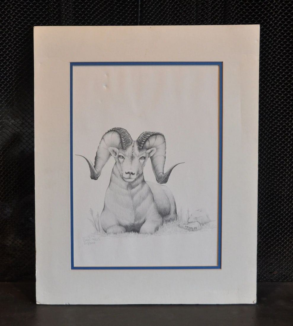 DAN S MILLS - ORIGINAL PRINT DRAWING MOUNTAIN BIGHORN RAM LMTD ED PENCIL SIGNED: Item : This print of a Bighorn ram was done in 1985 by Dan S. Mills. The expression of the ram really draws in the viewer and the original drawing was very finely done. The print measures 14 1/2" by 1