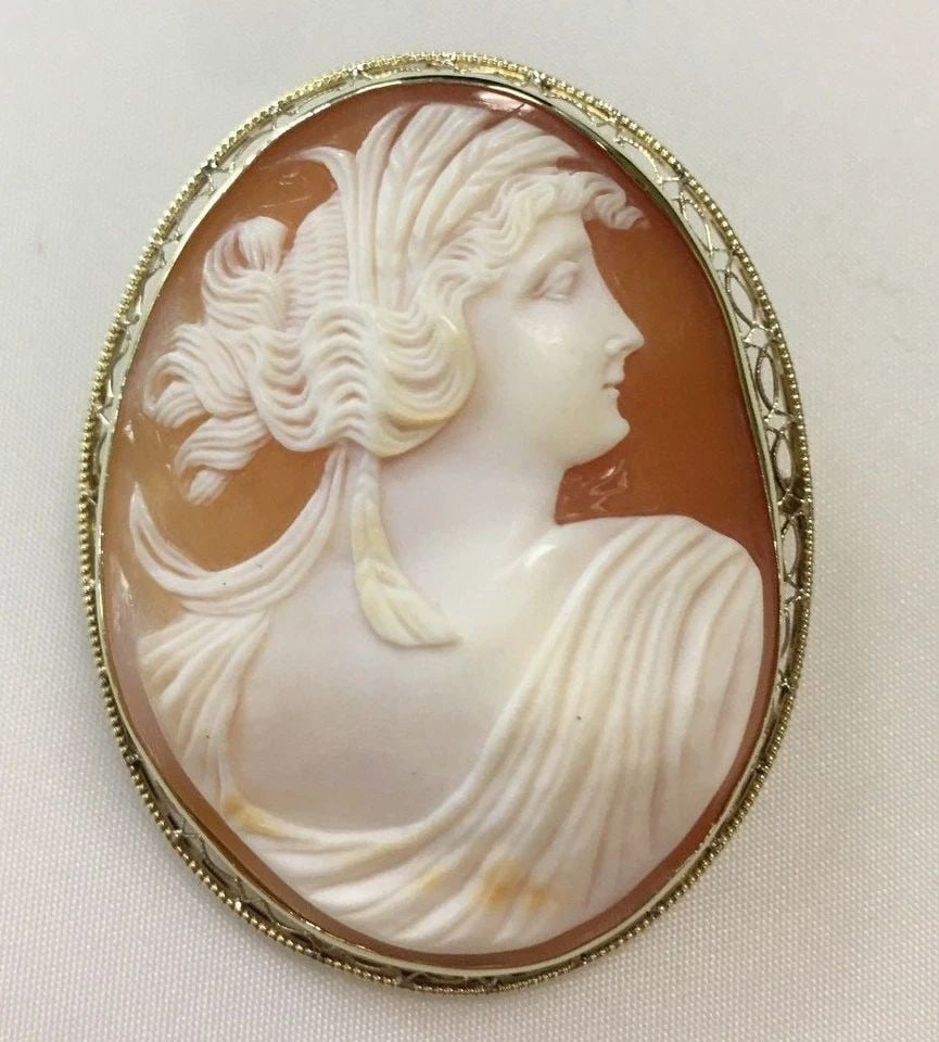 CARVED SHELL CAMEO BROOCH WITH WIRE FILIGREE BOARDER FAME AND 14K GOLD 13.2GRAMS: CARVED SHELL CAMEO BROOCH WITH WIRE FILIGREE BOARDER FAME AND 14K GOLD Carved Shell Cameo Brooch with Wire Filigree Boarder Fame and 14k Gold You are bidding on a Carved Shell Cameo Brooch with Wire F