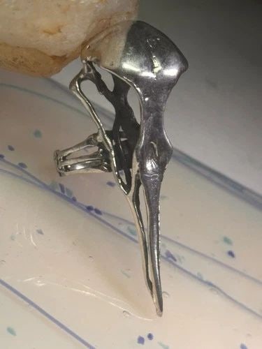 SKULL BIRD RING RAVEN LONG BAND SIZE 7.75 STERLING SILVER WOMEN: SKULL BIRD RING RAVEN LONG BAND SIZE 7.75 STERLING SILVER WOMEN Skull Raven Bird Ring long band size 7.75 sterling silver women Size 7.75 Between a size 7.75 and a size 8 Weight 21.2g Length. 2. 3/8""