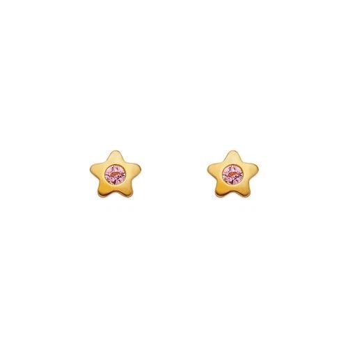 NEW 14K YELLOW GOLD PINK HIGH POLISHED STAR STUD EARRINGS: NEW 14K YELLOW GOLD PINK HIGH POLISHED STAR STUD EARRINGS PINK HIGH POLISHED STAR STUD EARRINGS NEW 14K YELLOW GOLD Width: Approx. 4mm AVERAGE Apx WEIGHT: 2g