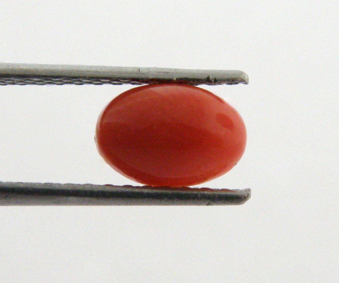 NATURAL UNTREATED 7x5mm SEA CORAL OVAL SHAPE OX BLOOD (1 of 2)