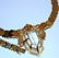 14K Yellow and White GOLD Diamond Necklace and Bracelet - 3