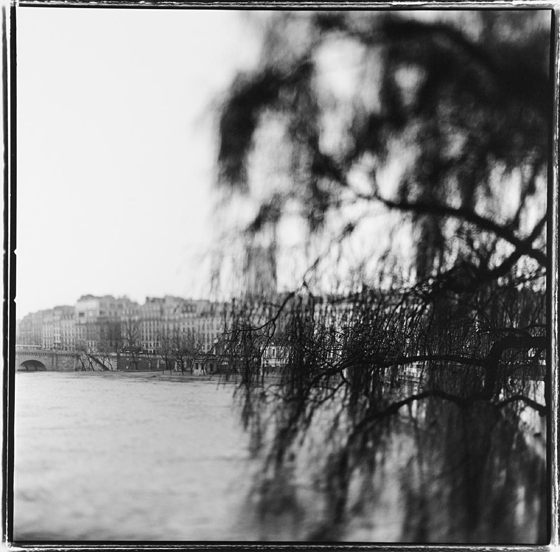 KEITH CARTER - Oldest tree in Paris, 1999: Oldest tree in Paris, 1999 Vintage gelatin silver print 51 x 50,5 cm (38 x 39 cm picture) Edition 1 of 5 Numbered, titled, signed and dated on the verso This lot is sold subject to Artists Resale Righ