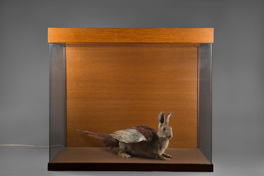 THOMAS GRUNFELD - Misfits I_VII, 1989/90: taxidermy 65x75x42 PROVENANCE Private collection. Certificate of authenticity on photograph curated by the artist. This lot is subject to Artists Resale Rights