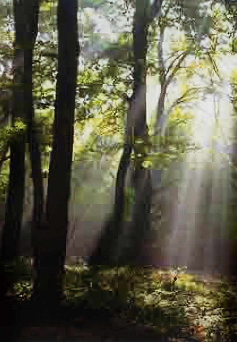 Thomas Ruff - Jpegs: Pigmented digital print cm 119 x 90 Edition 5 of 45 Signed and numbered in pencil on the verso EXHIBITIONS This lot is subject to Artists Resale Rights