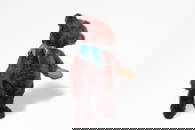 Steiff - Dark Brown Bear, 40's