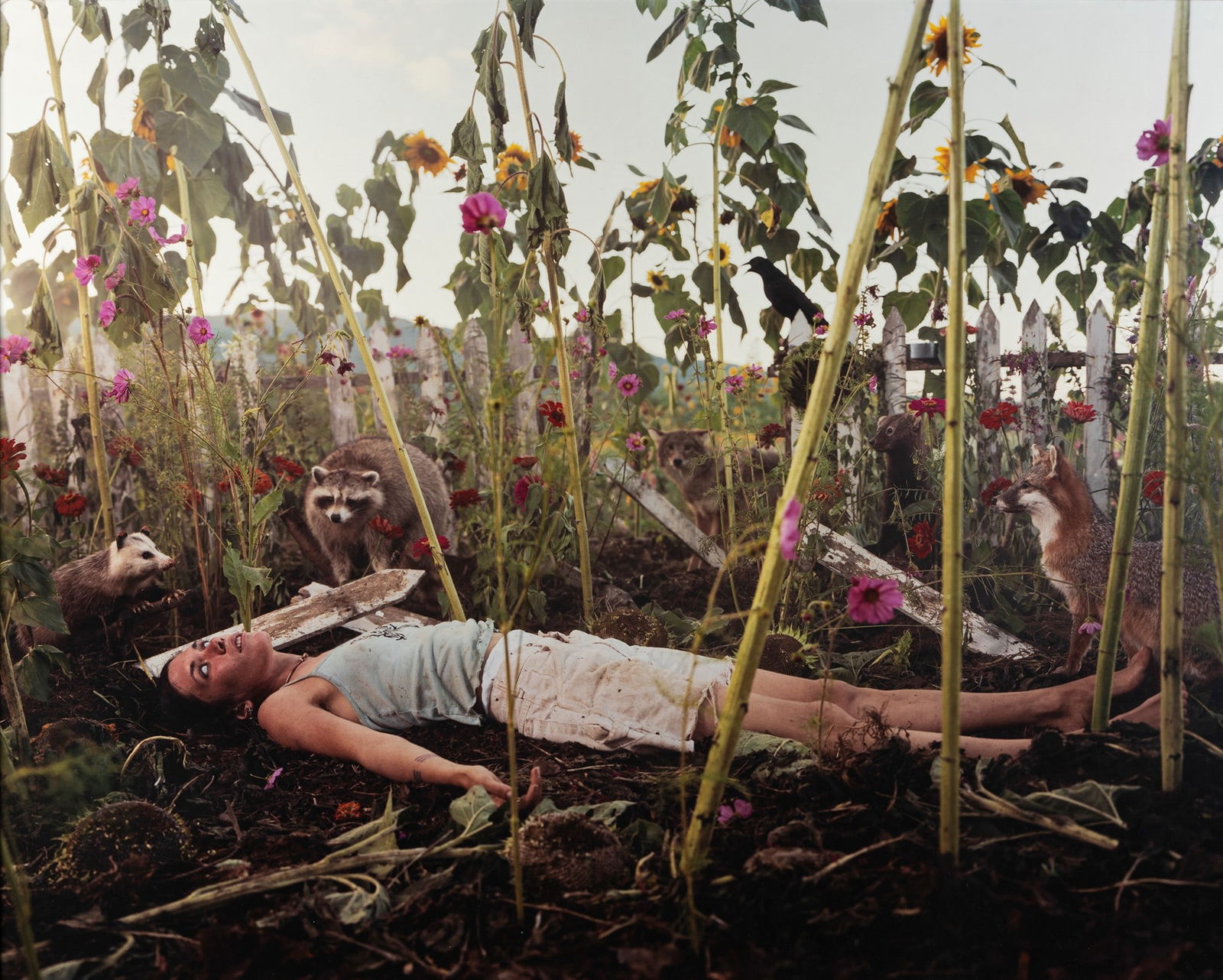 Gregory Crewdson (1962) - Untitled (Dead girl in garden), 1998: Vintage C-print cm 122,5 x 153 | 48.2 x 60.2 in. Edition 4 of 10 Didactic label signed in black ink on the verso Framed PROVENANCE Luhring Augustine, New York Contemporary Art, Phillips, New York, Nov