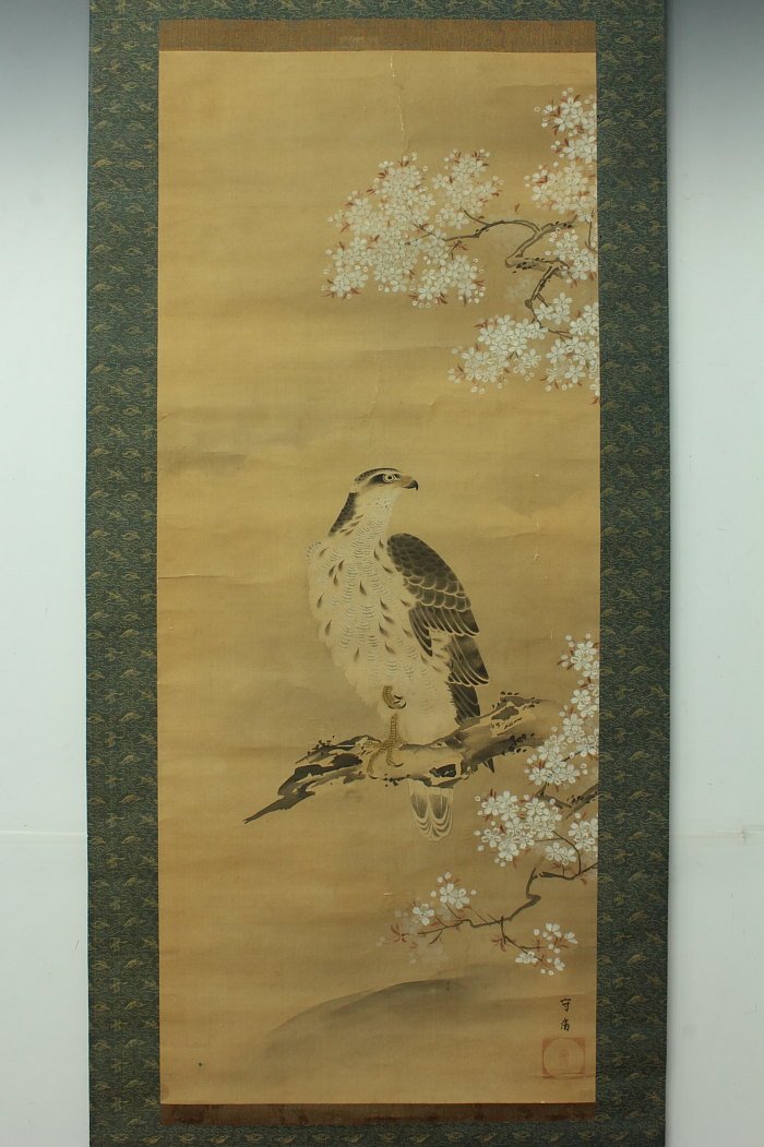 Painting of Hawk Perched on Cherry Blossoms: The work contains a signature and seal reading Morifusa. Age: Edo Period Size: Height 78.0”:Width 23.4”