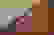item-42743026=4