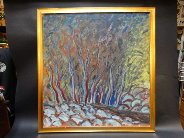 Anders Aldrin: Ojai Canyon 1956 P1201 (1 of 7)