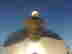 item-43362847=3