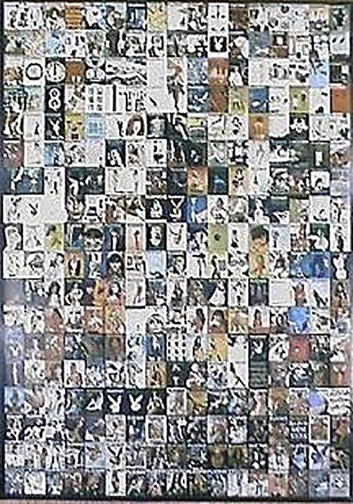 Playboy Poster from 1953 - 1979. Liquidation Set of 3: Playboy Poster with 300 Covers from 1953-1979. Liquidation Offer to Galleries & Decorators Set of 3 LA Ref Number: 611A