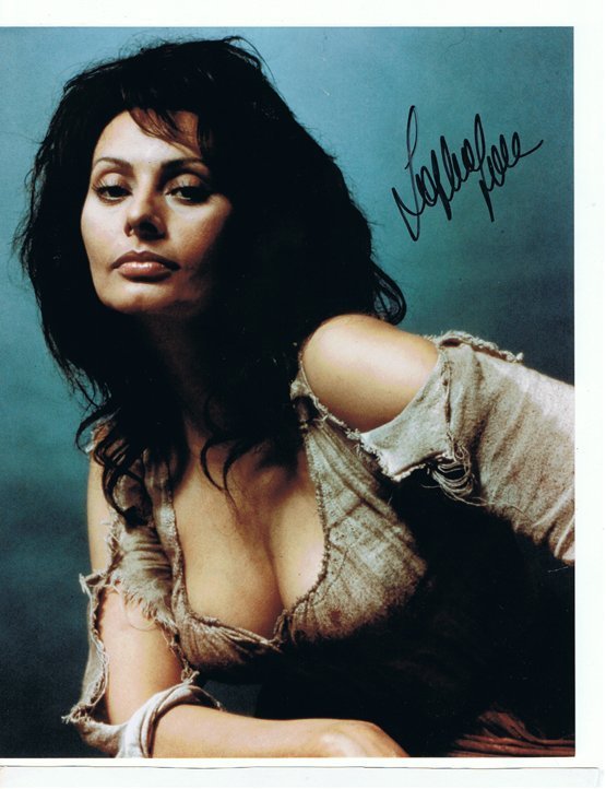 Sophia Loren [#6] Sexy - - - 8 X 10 W/ Certificate: Sophia Loren [#6]-8 X 10 W/ Certificate from Todd Mueller. Todd Mueller Began Collecting Autographs in 1978 and Now the Owner of Todd Mueller Autographs. Todd Mueller Has Been in the Autograph Industr