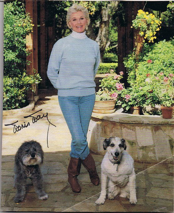 Doris Day 7. 5 X 9. 2 Magazin Photo W/ Certificate (1 of 1)