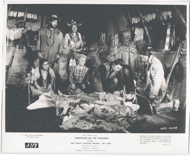 Fess Parker - 8x10 Photo W/ Certificate (1 of 1)