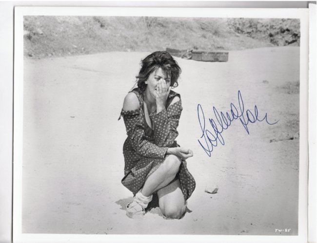 Sophia Loren - 8 X10 Photo W/ Certificate: Sophia Loren - 8 X 10 Photo W/ Certificate from Todd Mueller. Todd Mueller Began Collecting Autographs in 1978 and Now the Owner of Todd Mueller Autographs. Todd Mueller Has Been in the Autograph Indu