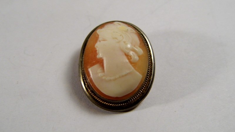 Antique Italian Hand Carved Shell Cameo Double Purpose,: Antique Italian Hand Carved Shell Cameo Double Purpose, Pin or Pendant Estate item. From a pre WWII collection of cameos. Free shipping within the USA, 1.5% insurance surcharge (based on the final ham