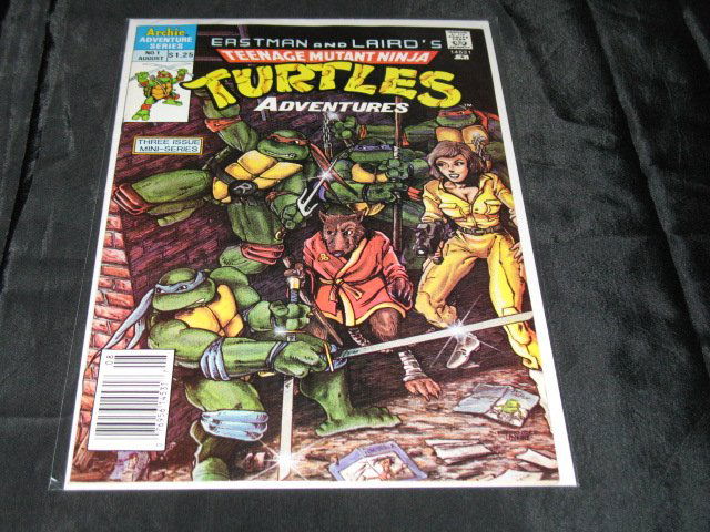 Teenage Mutant Ninja Turtles Adventure (1st Series) #1 (1 of 1)