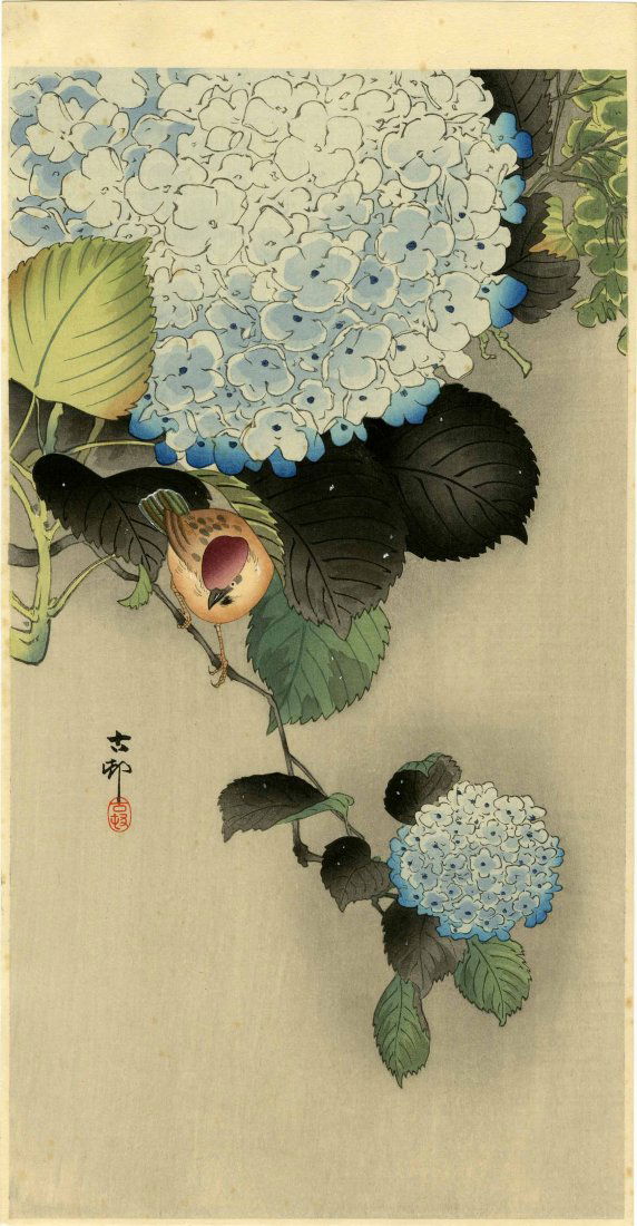 KOSON OHARA - SPARROW ON A HYDRANGEA - 1930s (1 of 2)