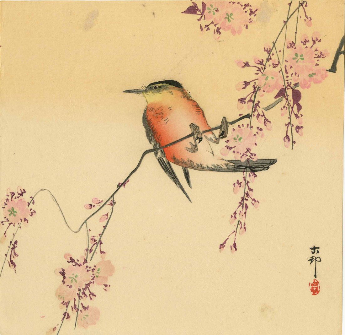 KOSON OHARA - SONGBIRD ON A FLOWERING BRANCH - 1930s: Japanese woodblock print 9.4" x 9.1" Free shipping for this item within the continental US.