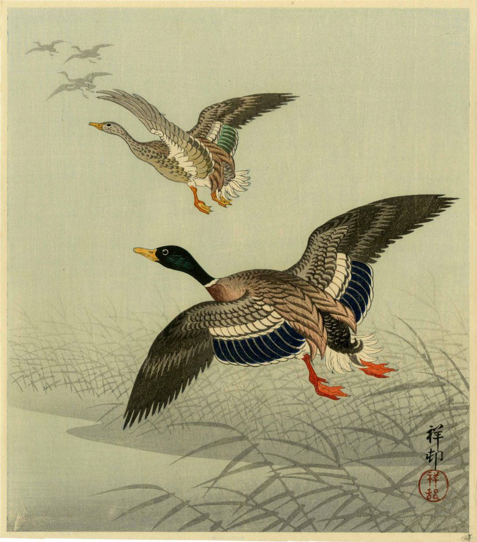 KOSON OHARA - MALLARD DUCKS IN FLIGHT - 1930s (1 of 2)