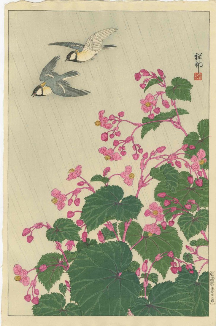 KOSON OHARA - GREAT TITS & BEGONIAS - 1932: Japanese woodblock print 1st Edition Watanabe "D" Seal 10.25" x 15.5" Free shipping for this item within the continental US.