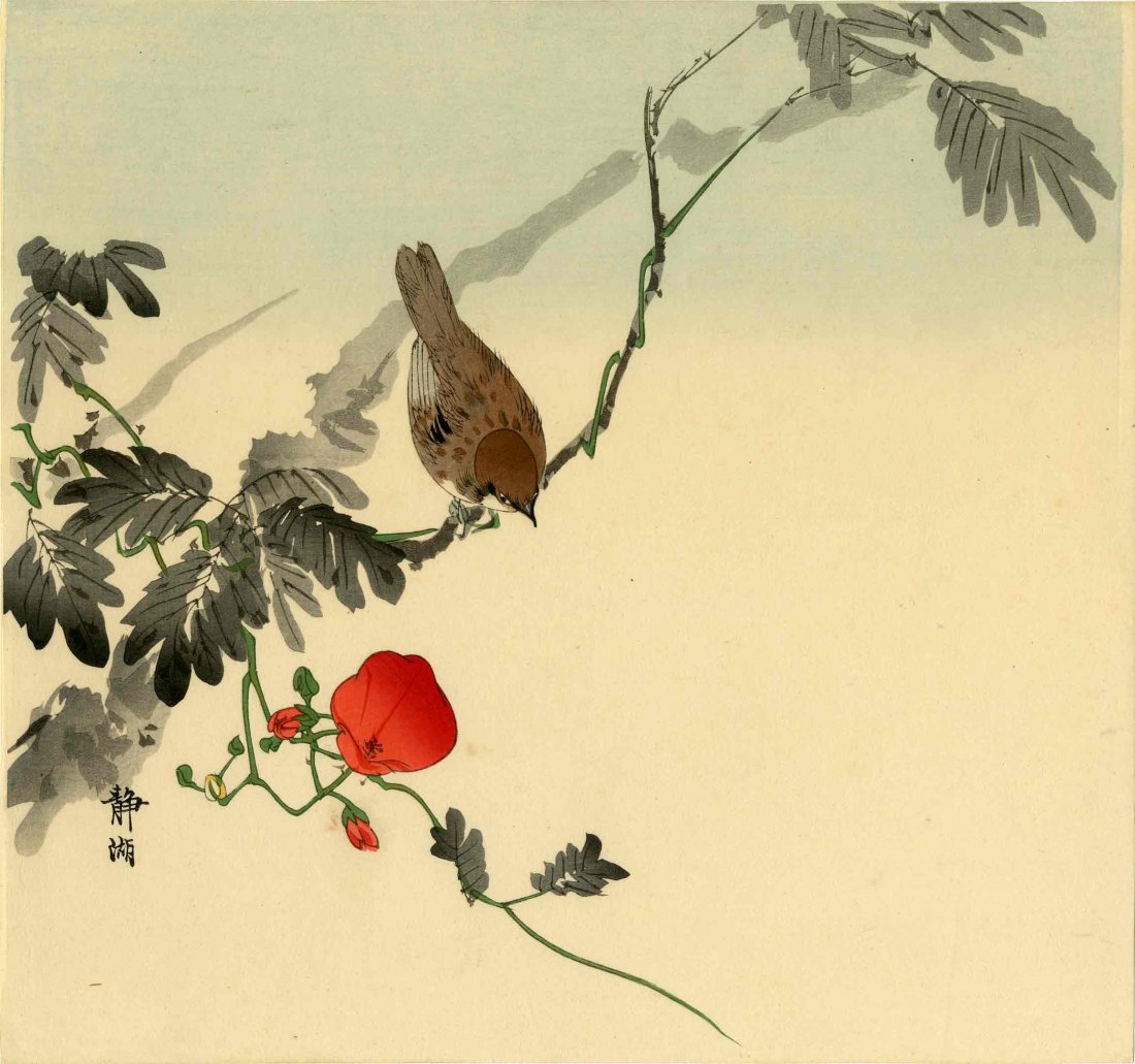 SEIKO OKUHARA - SPARROW ON A FLOWERING BRANCH - 1930s: Japanese woodblock print 10" x 9.5" Free shipping for this item within the continental US.