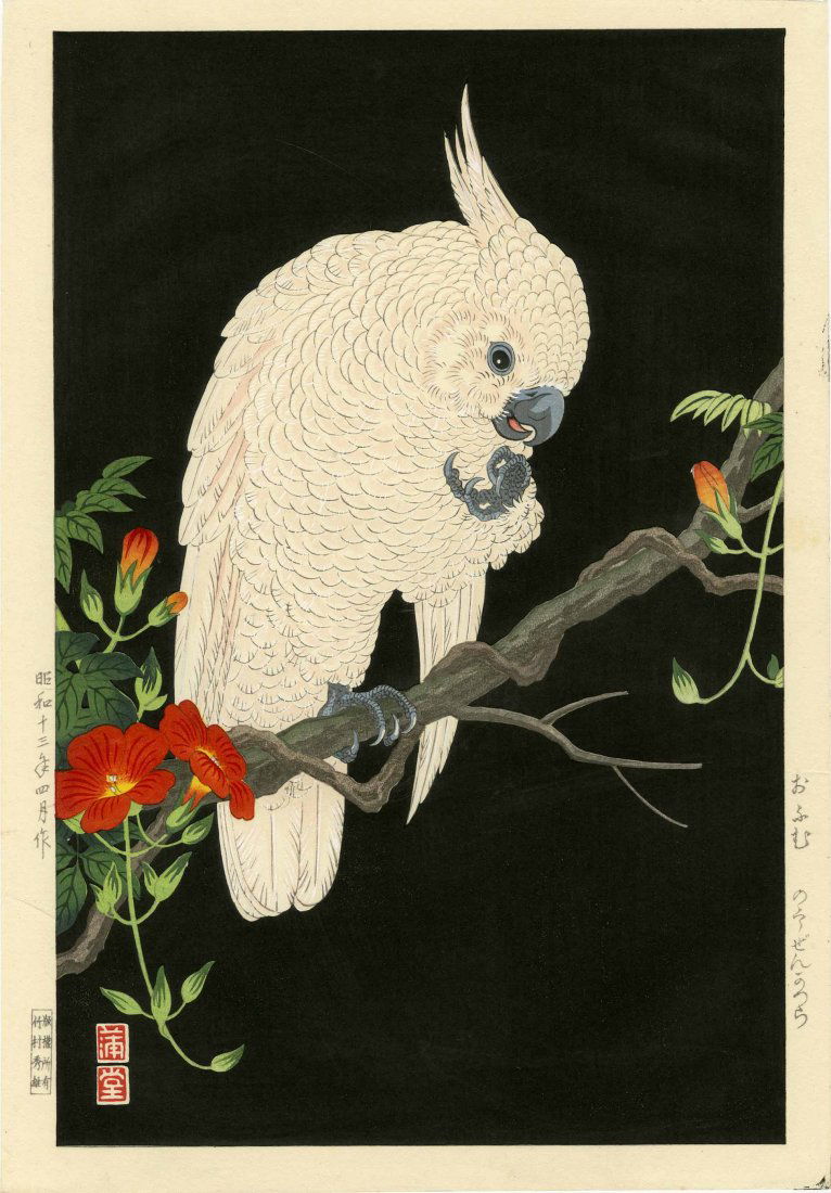 HODO NISHIMURA - COCKATOO ON A BLACK BACKGROUND - 1938 (1 of 2)