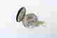 item-44042097=2