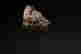 item-44096992=7