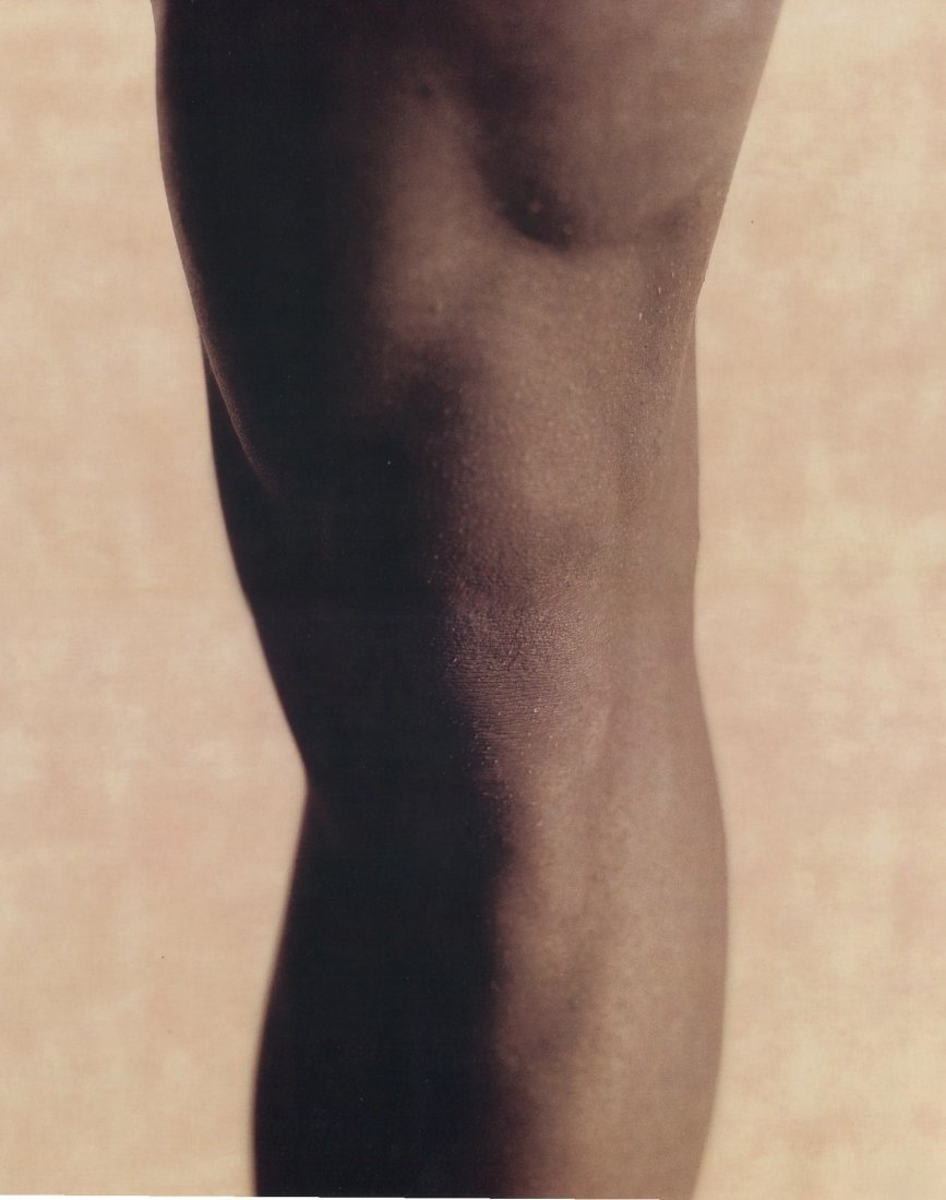 Lagerfield, Karl - Stuart: Large Satin Finish Umber PhotoLithos printed by Upstate Litho, NY in 1977 - Visionaire - Image size (inches) approx. 10 x 13• Buyer Pays Shipping. • Ships From Florida • Items will ship to the C