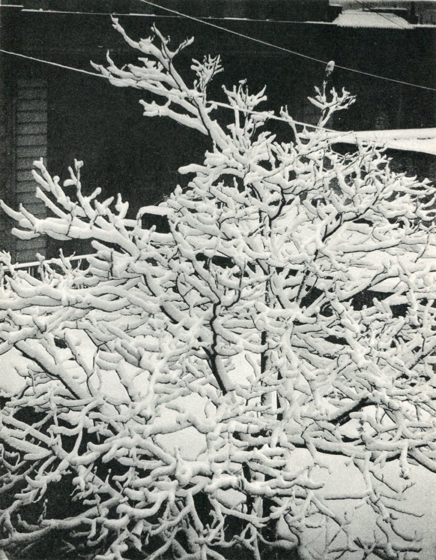 Stieglitz, Alfred - From the Window - 291, 1915: Collotype printed in 1958 by Meriden Gravure Company, USA - Image size 7" X 8.5" • Buyer Pays Shipping. • Ships From Florida • Items will ship to the Continental US at a flat rate of $15.00 via