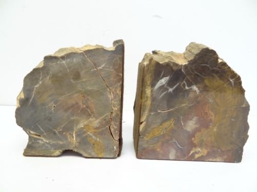 Cut Petrified Wood Stone Slab Rock Decorative Bookends (1 of 3)
