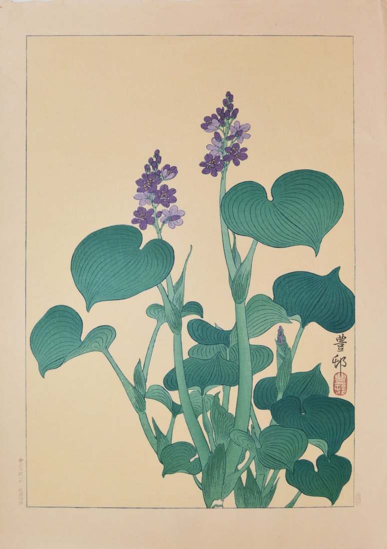 Hoson (1877-1945), Purple Hosta: Japanese Woodblock Print by Hoson (1877-1945), Purple Hosta No Reserve Shipping Rates: UPS Ground - $16 UPS Ground with insurance/sig required - $24 UPS 2 Day w/ insurance - $36 International - $80