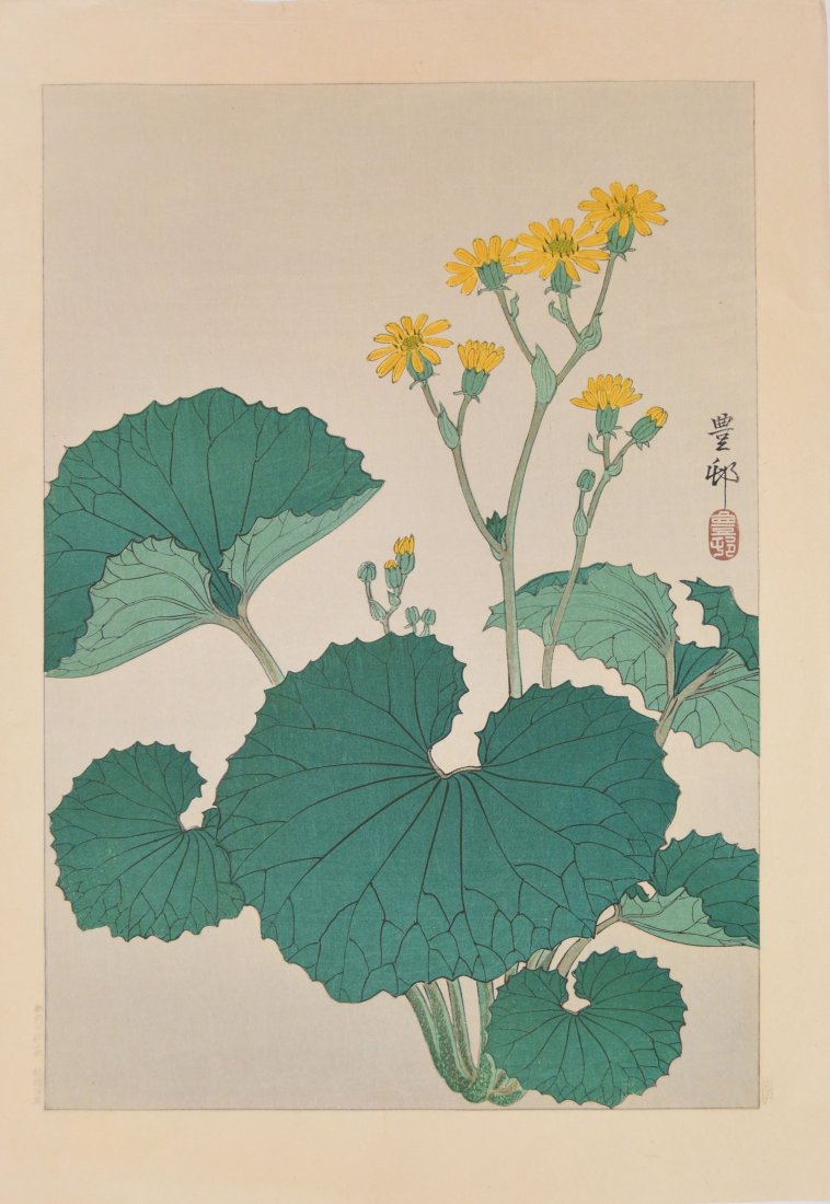 Hoson (1877-1945), Butterbur Flower: Japanese Woodblock Print by Hoson (1877-1945), Butterbur Flower No Reserve Shipping Rates: UPS Ground - $16 UPS Ground with insurance/sig required - $24 UPS 2 Day w/ insurance - $36 International - $8