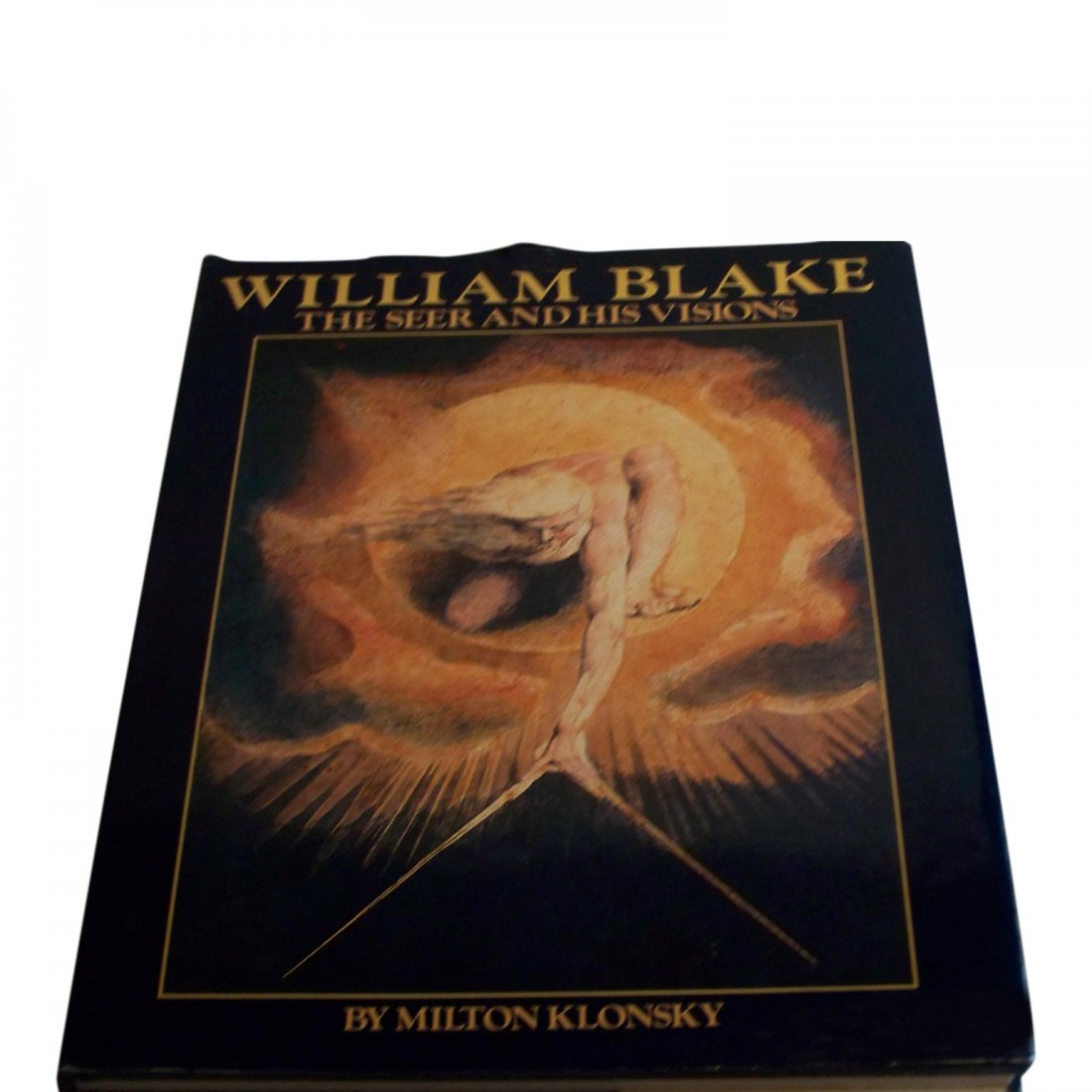 William Blake, the Seer and His Visions: Author: Klonsky, Milton First published in 1977, blue cloth over boards with gpld lettering on the spine. Book has no tears or bent pages nor any writing. D/j has a chip out of the top front and a cre