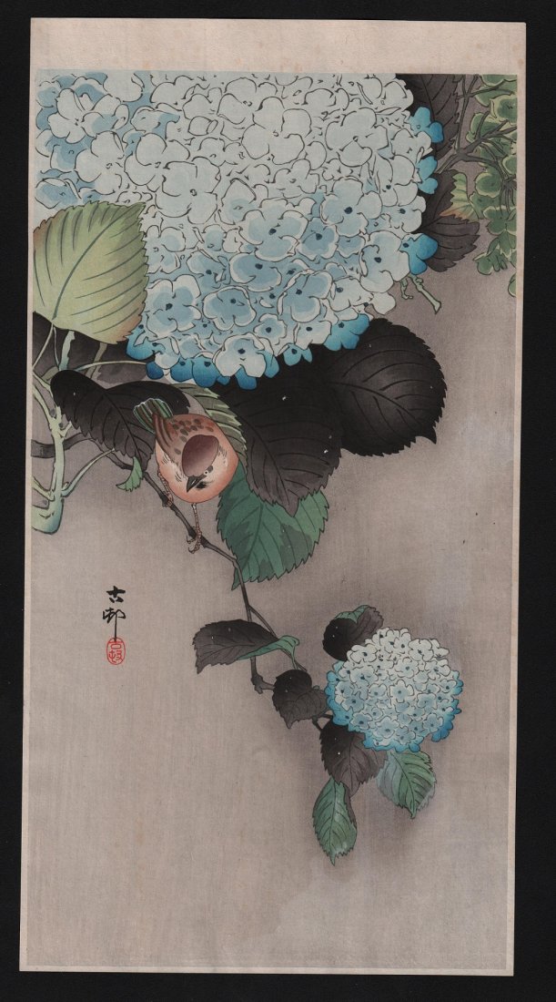 Original Japanese Woodblock print by Koson: Artist: Ohara Koson. Subject: Bird & hortensia. Date: c. early 1900’s. Measures: 7.5” x 14.5” No Reserve Shipping for this group will be $15 per lot domestic, $40 oversea's. No additional charge