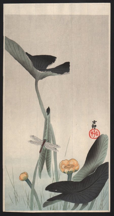 Original Japanese Woodblock Print by Koson: Artist: Ohara Koson. Subject: Dragonfly & lotus. Date: c. early 1900’s. Measures: 7.5” x 14.5” Shipping for this group will be $15 per lot domestic, $40 oversea's. No additional charge for multi