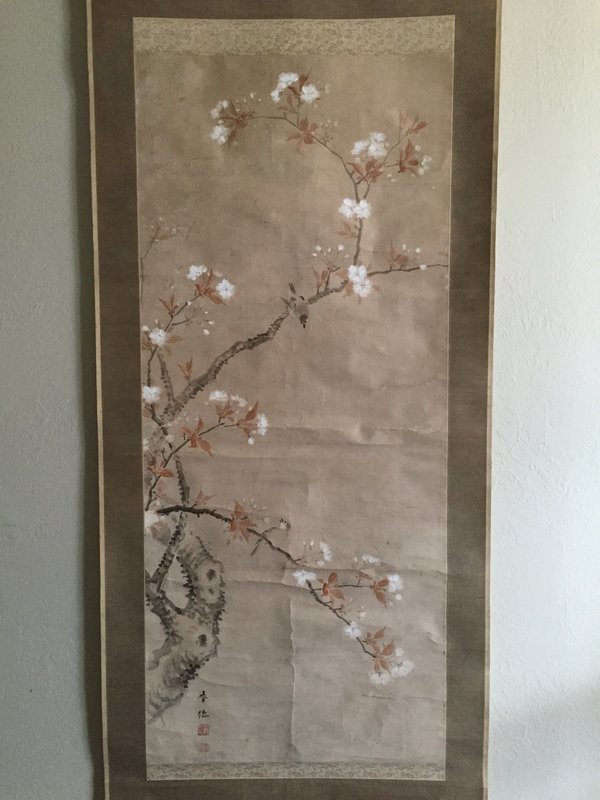 Cherry Blossoms and Birds Oba Gakusen: Sakura and Birds Oba Gakusen (1822-1899) Late Edo to Meiji Periods Size: Scroll: Width 72cm Height 191cm Painting: Width 54cm Height 124cm. No Reserve Free shipping for this item within the continenta