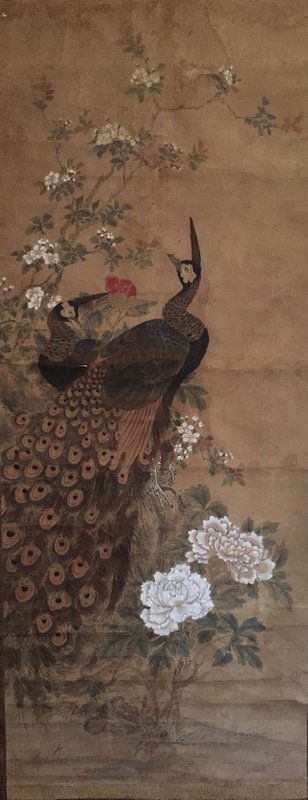 Painting of Peacocks and Peonies: Peacocks and Peonies Anonymous 19th century Size:Length 187cm Width 84cm From a San Francisco Estate of Japanese antiques and paintings. No Reserve Free shipping for this item within the continental
