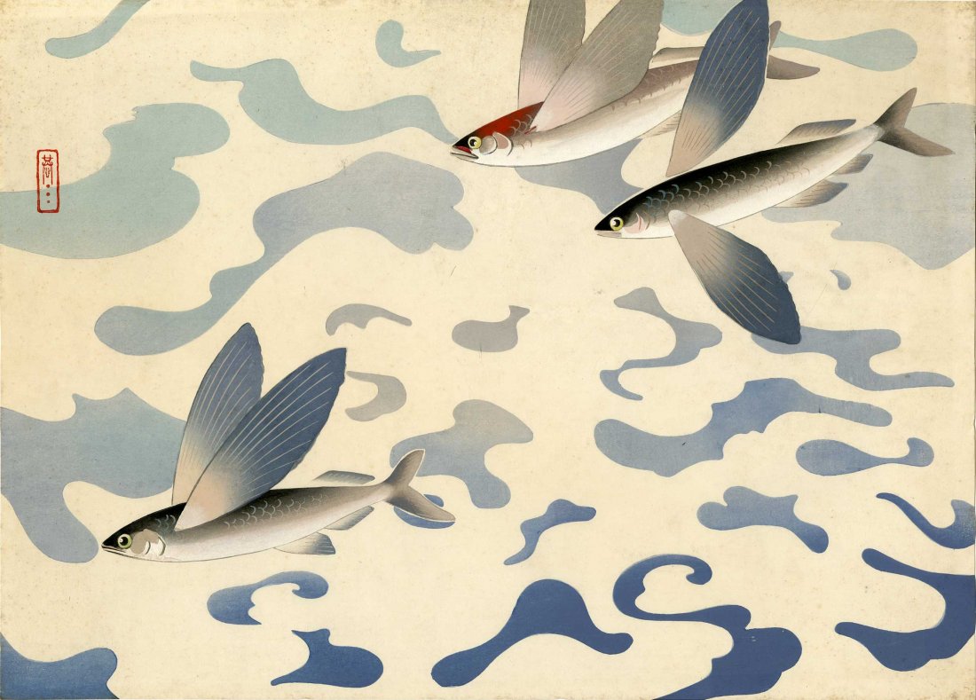 NOT READ - Flying Fish 1950s (1 of 2)