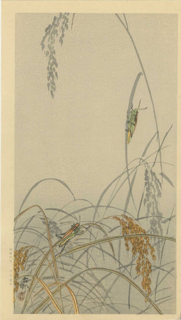 KOSON OHARA - Grasshoppers on Rice Plants 1930s: Japanese woodblock print 8.2" x 14.5" Rarely seen print published by Nishinomiya No Reserve Buyer pays flat rate $20 domestic shipping and $5 for each additional print won, international is calculated