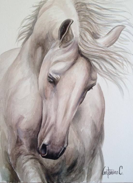 Unbridled Passion-Oil on Canvas Original Antonino (1 of 1)